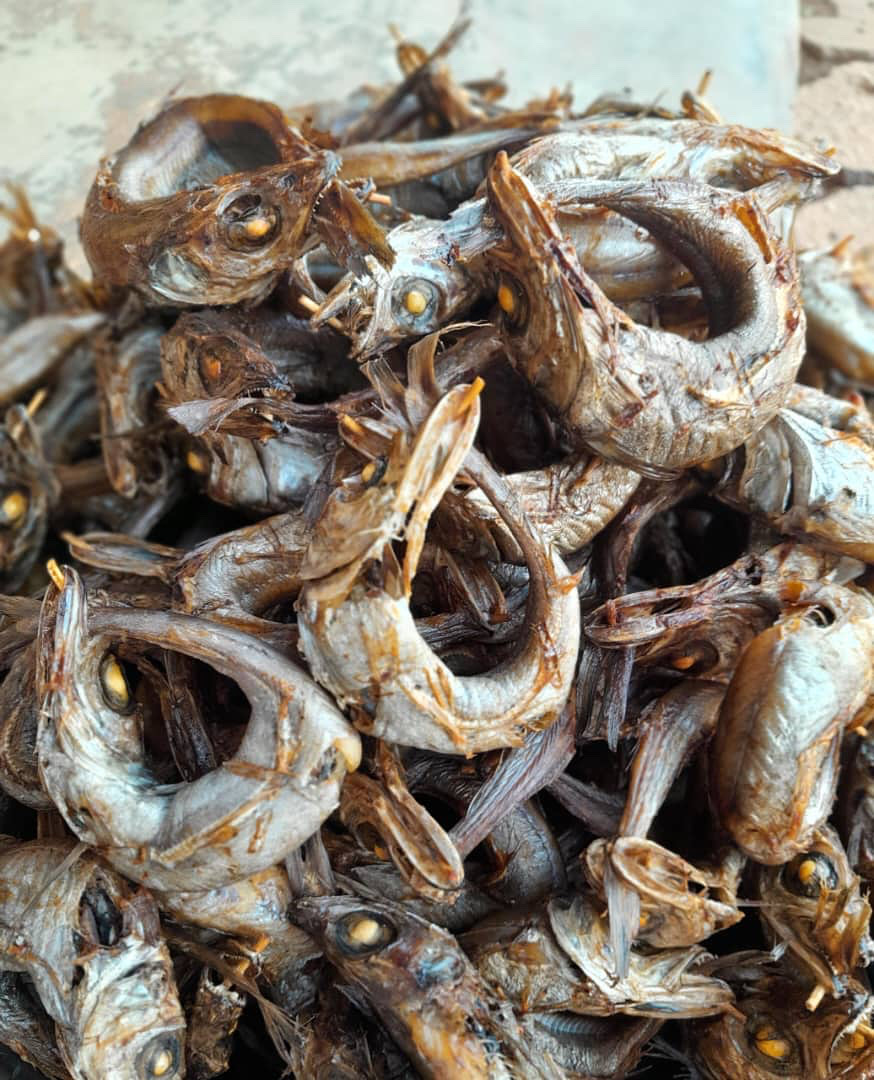 Panla fish