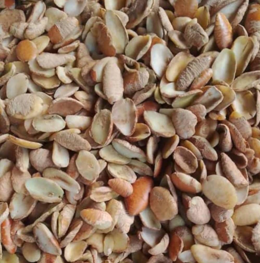 Ogbono