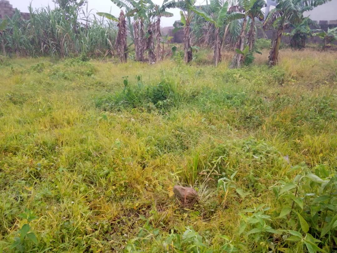 Arahmain homes and properties photo 5